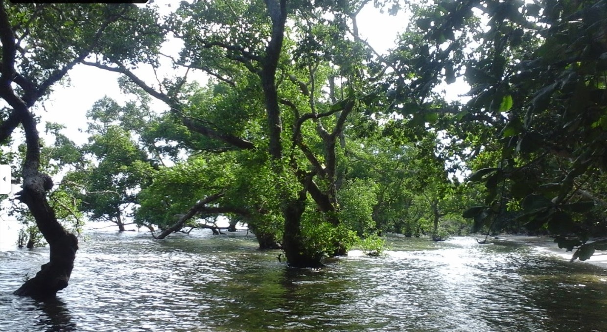 Pantai Iru Abubu
